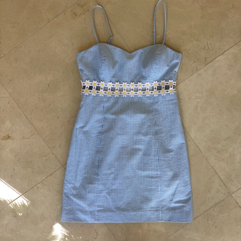 Blue Striped mini